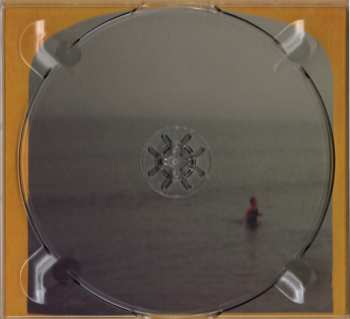 CD Rozi Plain: Joined Sometimes Unjoined