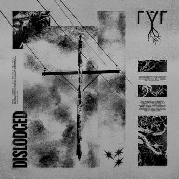 LP rýr: Dislodged CLR | LTD