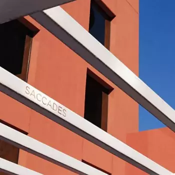 Saccades: Saccades