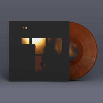 LP Sachal Vasandani: Midnight Shelter