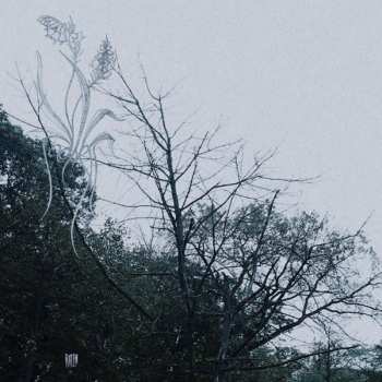 CD Sadness: Rain