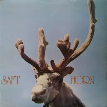Saft: Horn