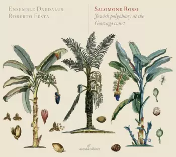 The Two Souls Of Solomon