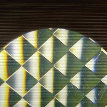 Album Samara Lubelski: Indexical/Rhizome