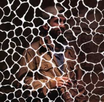 Album Samiyam: Animals Have Feelings