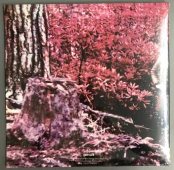 LP Samuel Prody: Samuel Prody