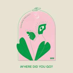 Album Sandman Project: Where Did You Go?