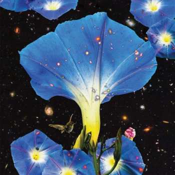 Album Sarah Louise: Nighttime Birds And Morning Stars