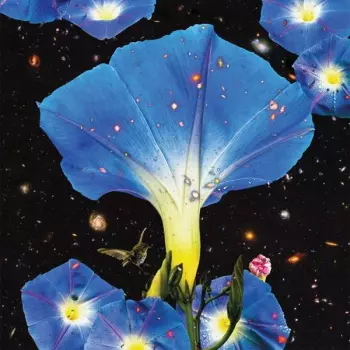 Sarah Louise: Nighttime Birds And Morning Stars