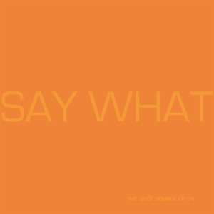 2LP Say What: Say What CLR