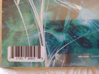 2LP Scar Symmetry: Holographic Universe  LTD | CLR