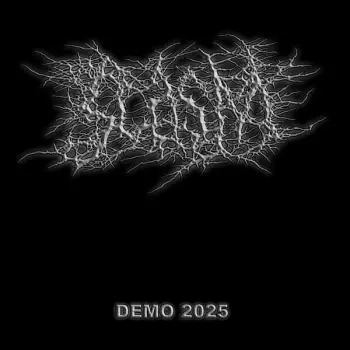 scasm: Demo 2025