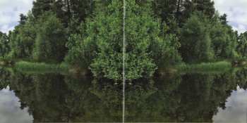 CD Schiller: Morgenstund