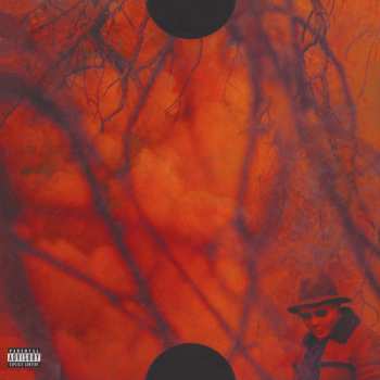 2LP Schoolboy Q: Blank Face LP LTD | CLR