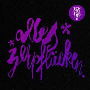 Album Schrottgrenze: Alles Zerpflücken