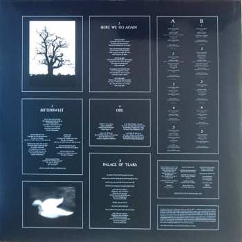 LP/CD Scott Matthew: This Here Defeat