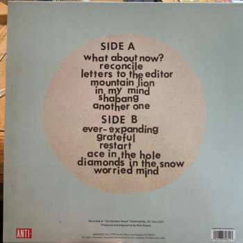 LP Scott McMicken And The Ever-Expanding: Shabang