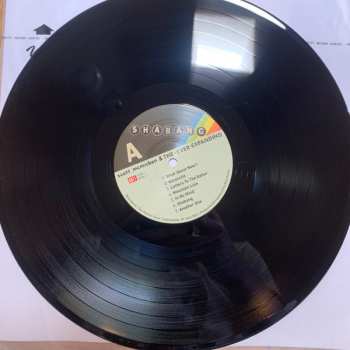 LP Scott McMicken And The Ever-Expanding: Shabang