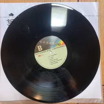 LP Scott McMicken And The Ever-Expanding: Shabang