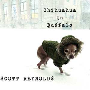 LP Scott Reynolds: Chihuahua In Buffalo