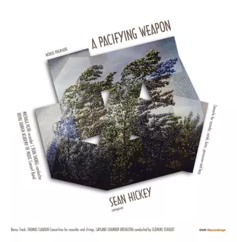 A Pacifying Weapon - Concerto For Recorder, Winds, Brass, Percussion And Harp