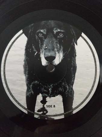 LP Seasick Steve: You Can't Teach an Old Dog New Tricks