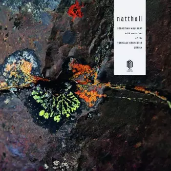 Natthall