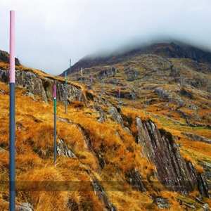 3LP Section 25: From The Hip LTD | CLR
