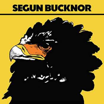 CD Segun Bucknor: Segun Bucknor