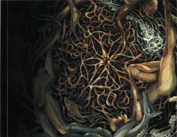 CD Selcouth: Heart Is The Star Of Chaos