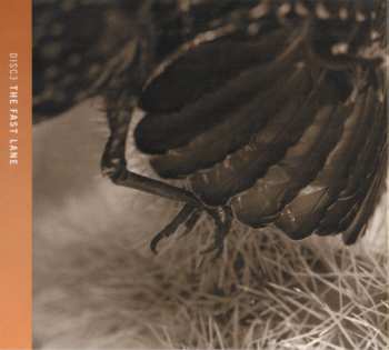 4CD/Doos Eagles: Selected Works 1972-1999