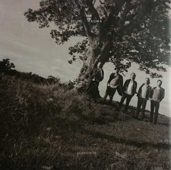 CD Selig: Magma