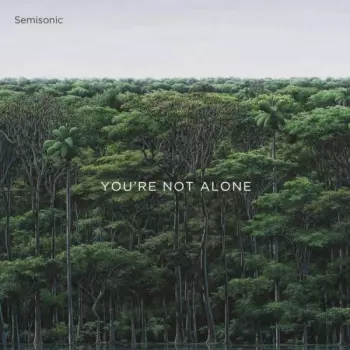 You're Not Alone 
