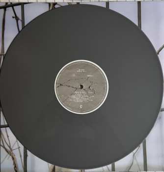 2LP Sen Senra: PO2054AZ-Vol-II CLR