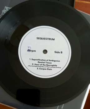  Sněť: Sn​ě​ť / Sequestrum Split LTD