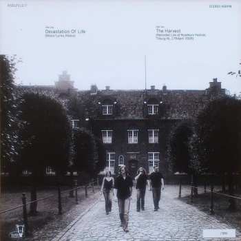 LP Serpentcult: Weight Of Light LTD | CLR