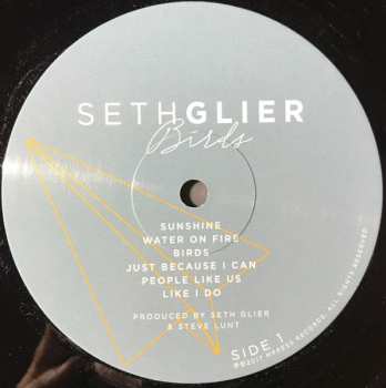LP Seth Glier: Birds