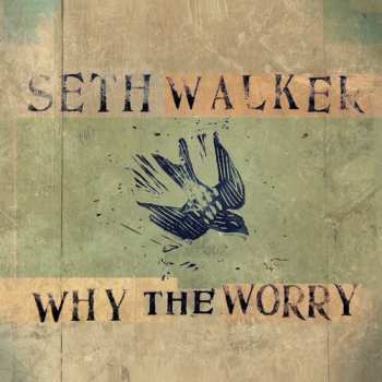 Album Seth Walker: Why The Worry
