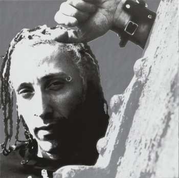 CD Sevendust: Seasons