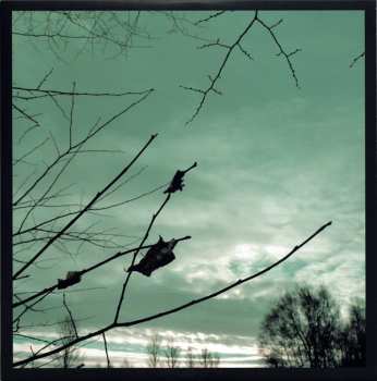 LP Sgàile: Ideals & Morality