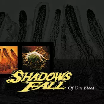 Shadows Fall: Of One Blood