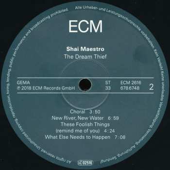 LP Shai Maestro: The Dream Thief