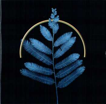 CD Shakatak: In The Blue Zone