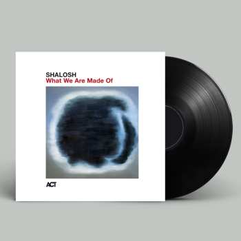 Album Shalosh: What We Are Made Of