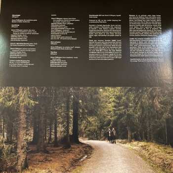 LP Shamblemaths: Shamblemaths 2