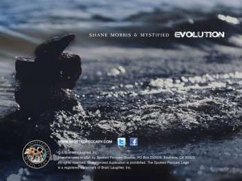 CD Shane Morris: Evolution