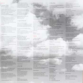 2LP Shania Twain: Now