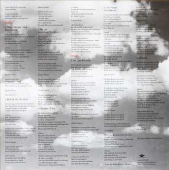 2LP Shania Twain: Now