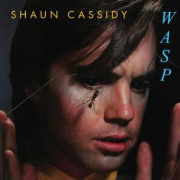 CD Shaun Cassidy: Wasp