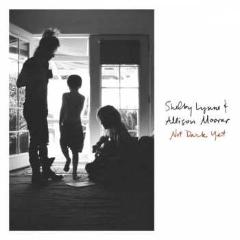 LP Shelby Lynne: Not Dark Yet 